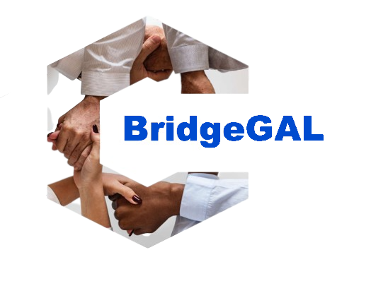 bridgegal2